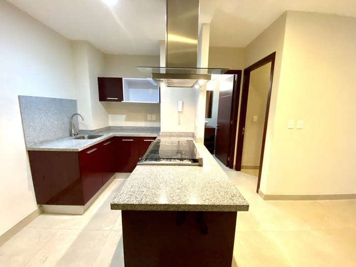 rento departamento cerca de polanco, ideal para ejecutivo o pareja