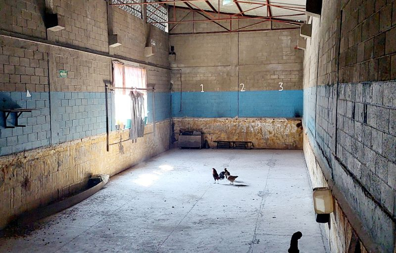 Local Comercial En Venta O Renta En El Mirador