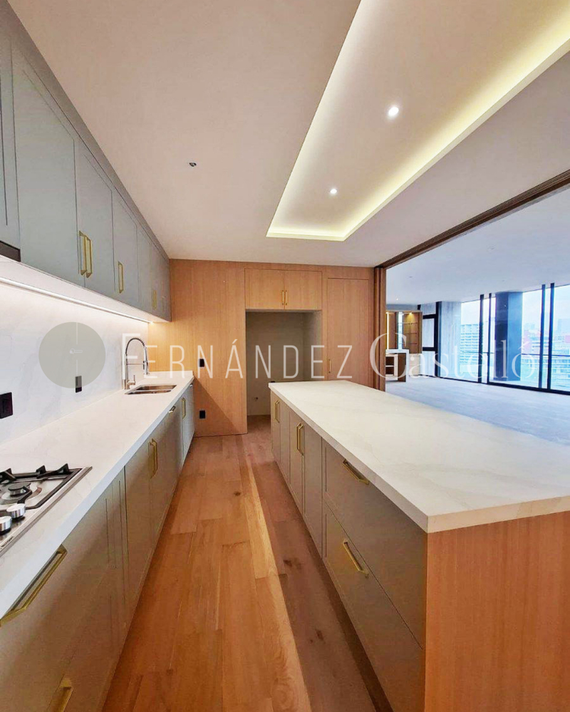 VENTA DEPARTAMENTO EN PH, ROOF GARDEN PRIVADO, RUB�?N DARÍO