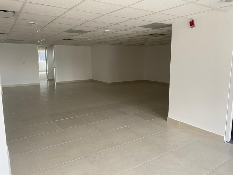 Oficina en Renta de 104 m2 en Anzures