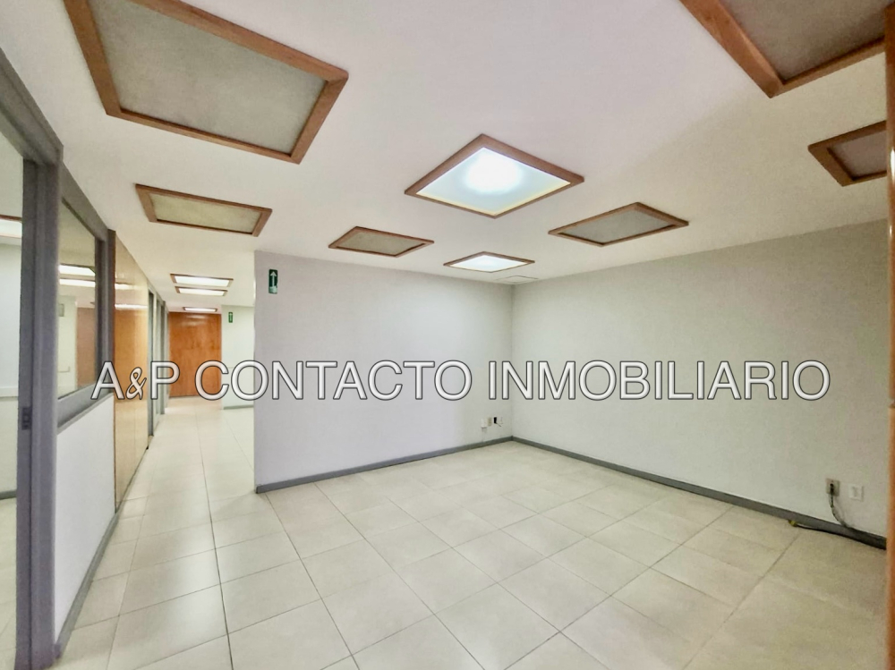Polanco V Oficinas En Renta Petrarca 75m2 Y 150m2