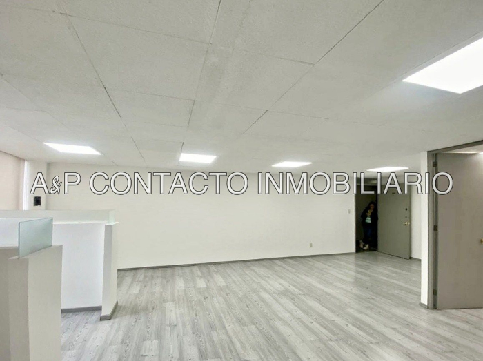 Polanco V Oficina en Renta Petrarca 75m2