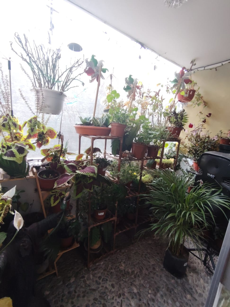 Departamento En Venta En Lomas Del Sol