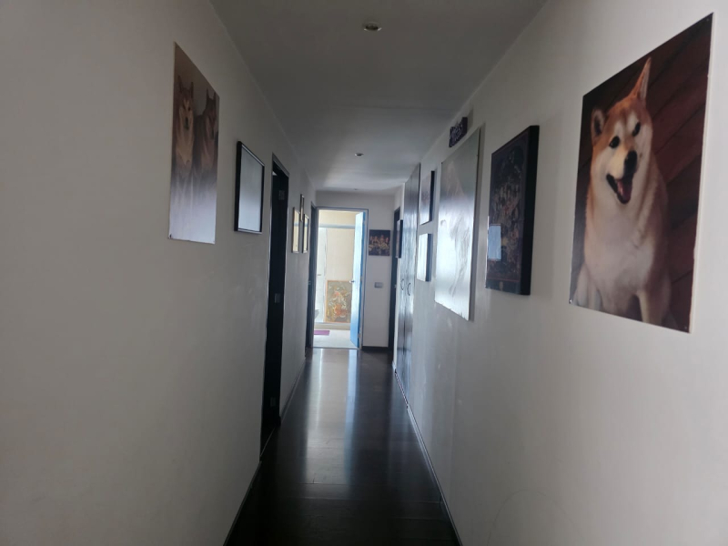 Departamento En Venta En Jesús Del Monte