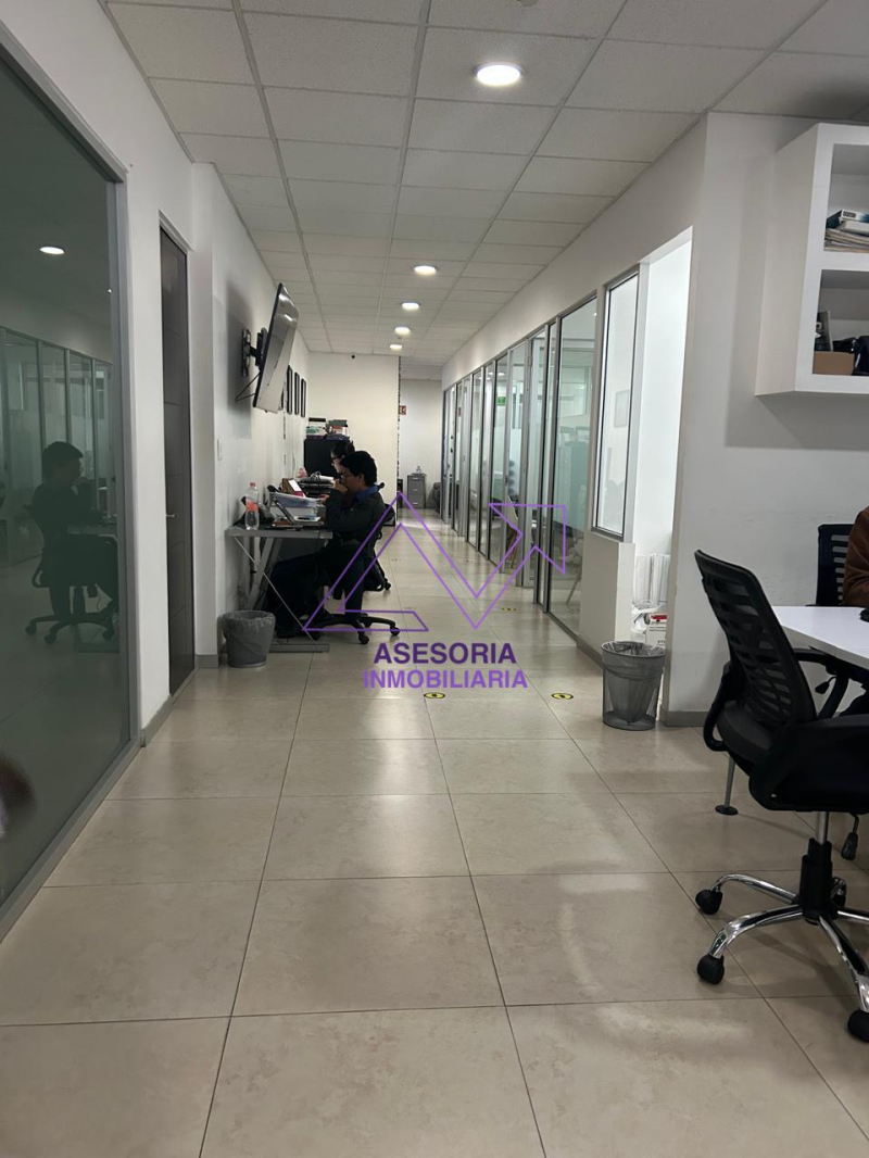 Oficina En Renta En Polanco