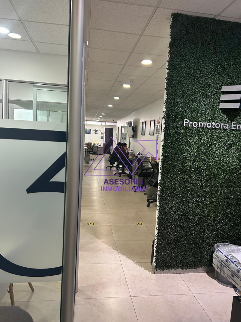 Oficina En Renta En Polanco