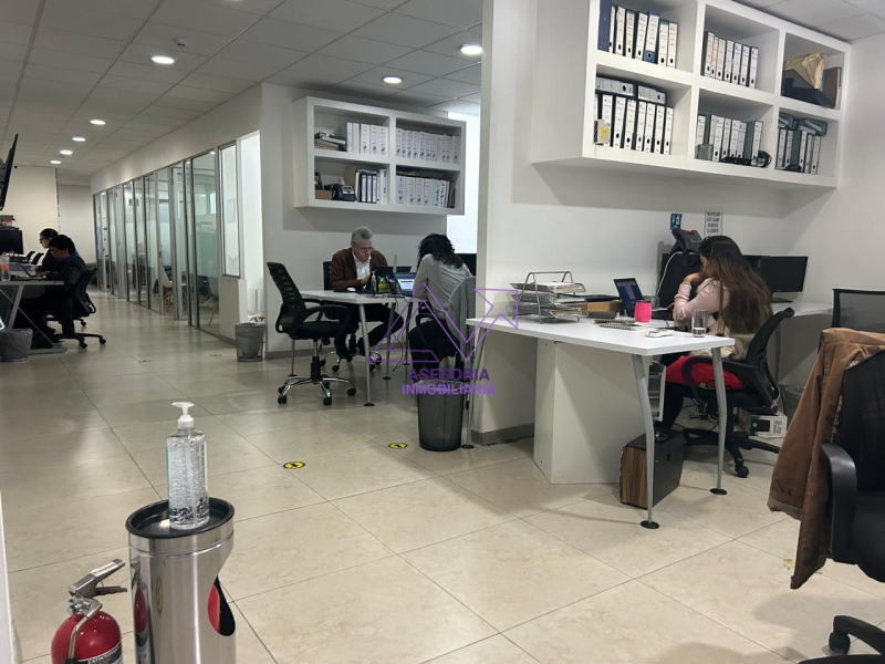 Oficina En Renta En Polanco