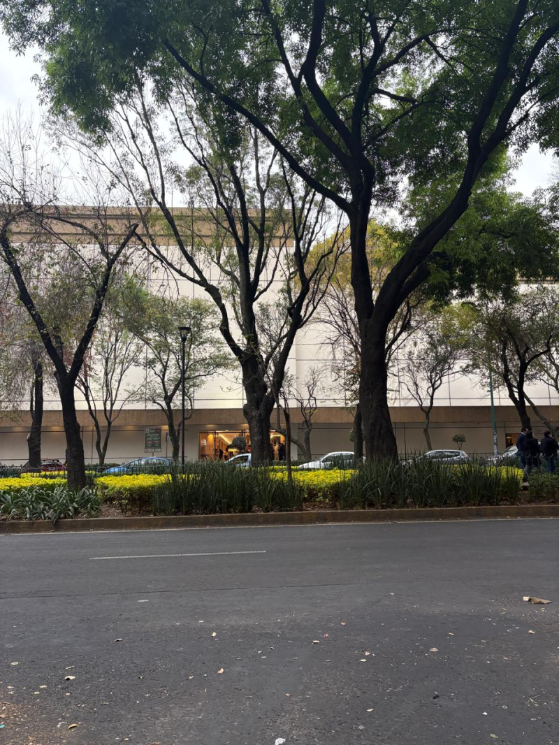 SE VENDEN OFICINAS EN ROMA NORTE CUAUHTEMOC CDMX