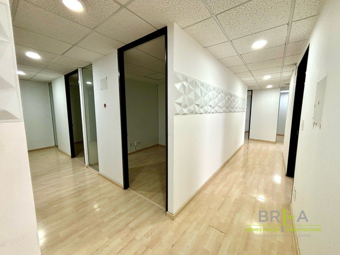 Oficina En Renta En Polanco