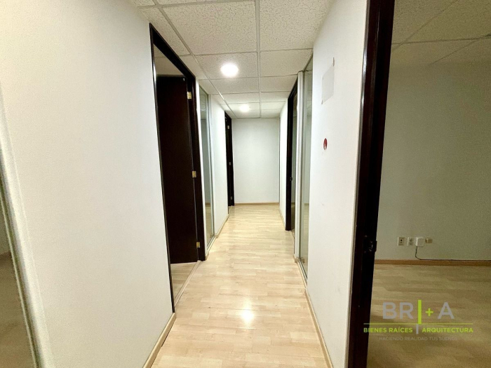 Oficina En Renta En Polanco