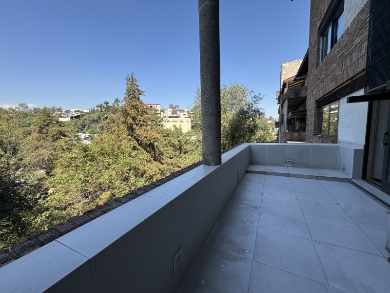 DEPARTAMENTO EN VENTA - AHUEHUETES SUR - LA LOMA - BOSQUES 