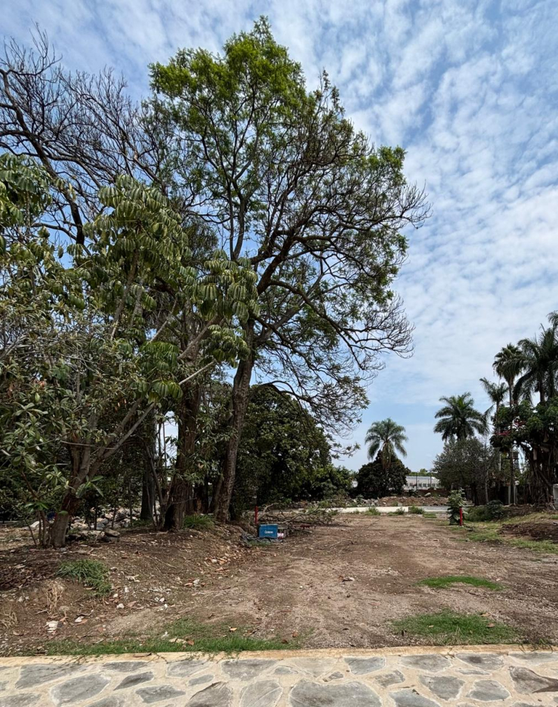 terreno en venta en vista hermosa