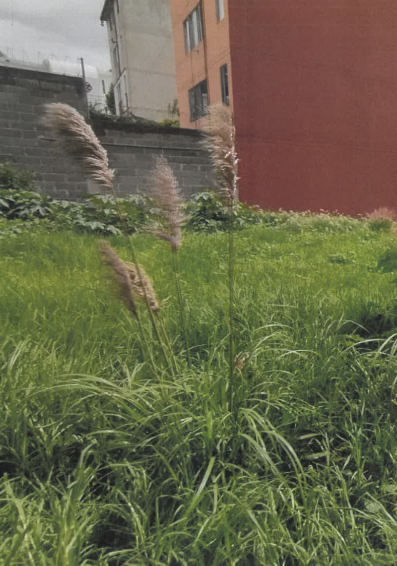 terreno en venta en naucalpan