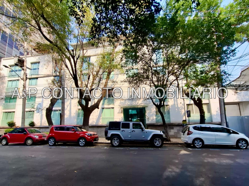 colonia roma renta departamento garden house 