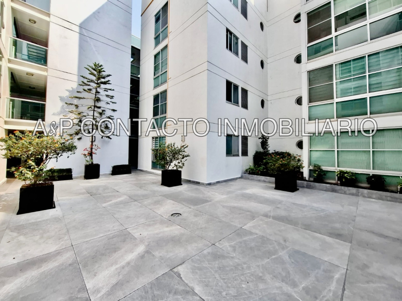 colonia roma renta departamento garden house 