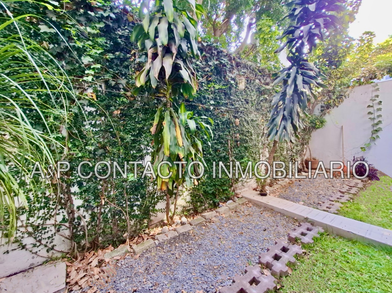 colonia roma renta departamento garden house 