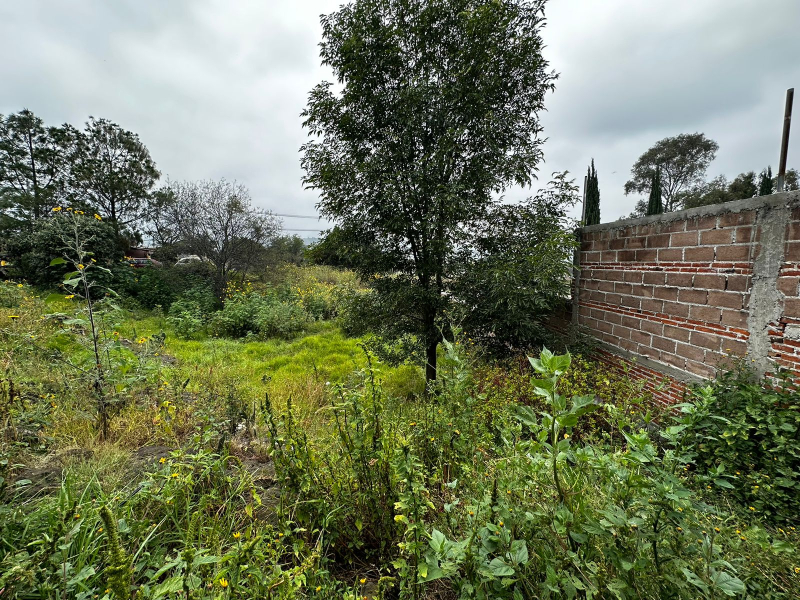 terreno en venta en tenango del aire 
