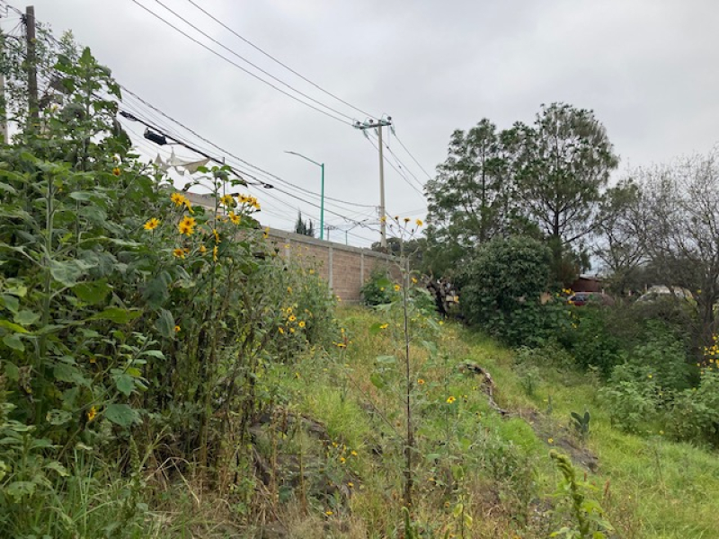Terreno En Venta En Tenango Del Aire 