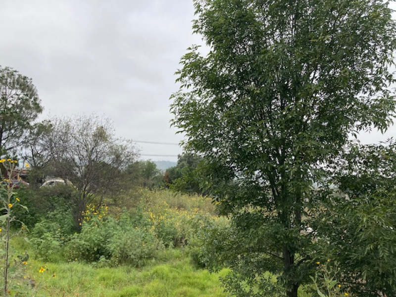 terreno en venta en tenango del aire 