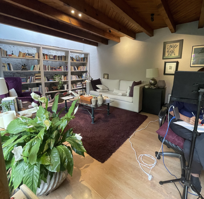 Casa En Venta En Paseo De Las Lomas, En Fraccionamiento Cerrado