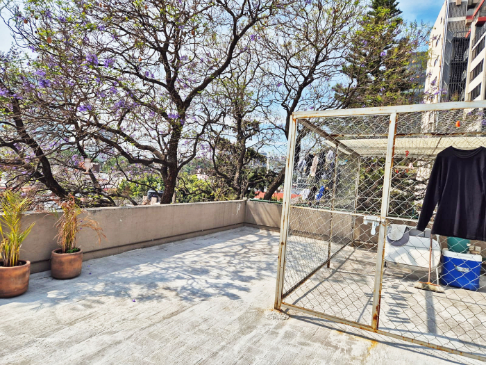 moderno departamento en renta en anzures