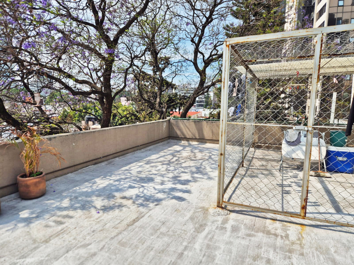 moderno departamento en renta en anzures