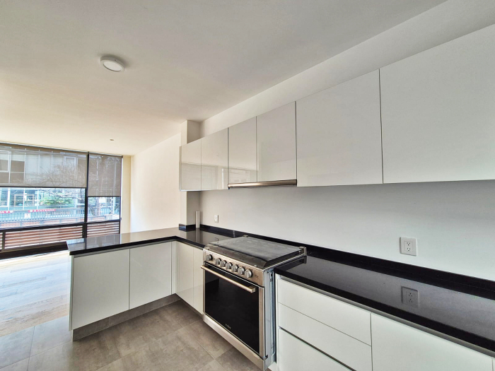 moderno departamento en renta en anzures