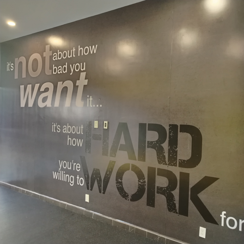 Departamento En Renta En Santo Tomás