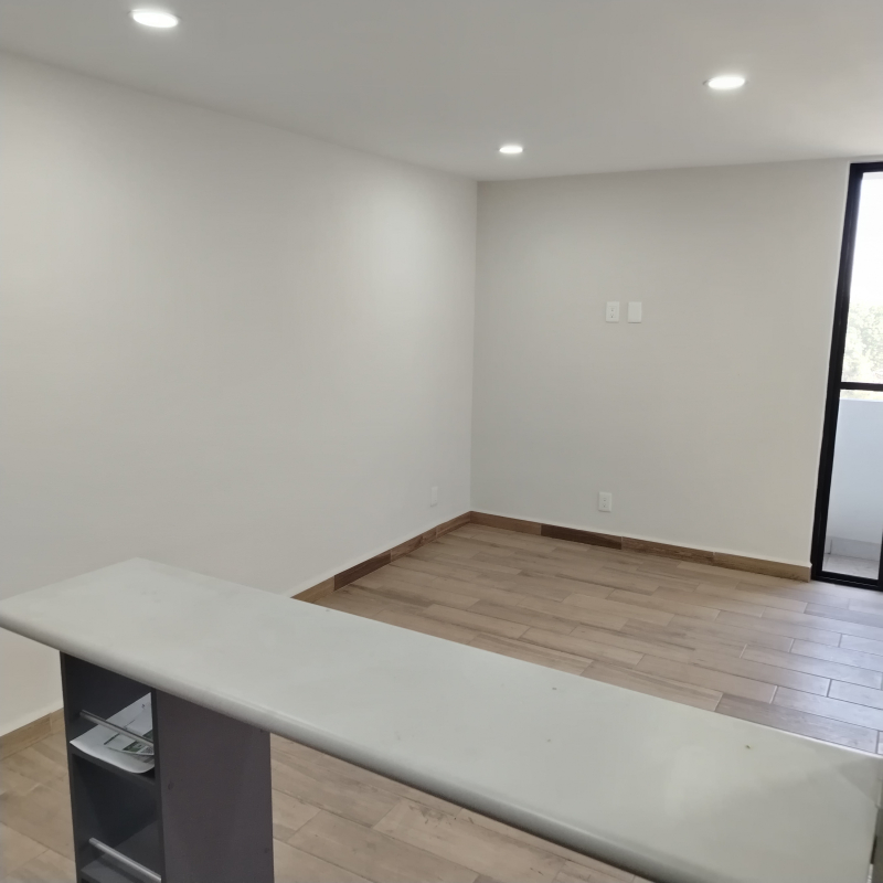 Departamento En Renta En Santo Tomás