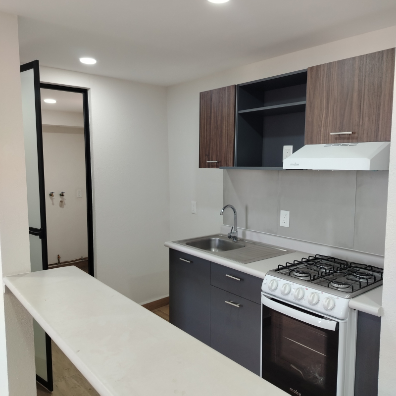 Departamento En Renta En Santo Tomás