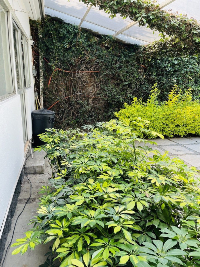 casa con uso de suelo en renta excelente ubicación