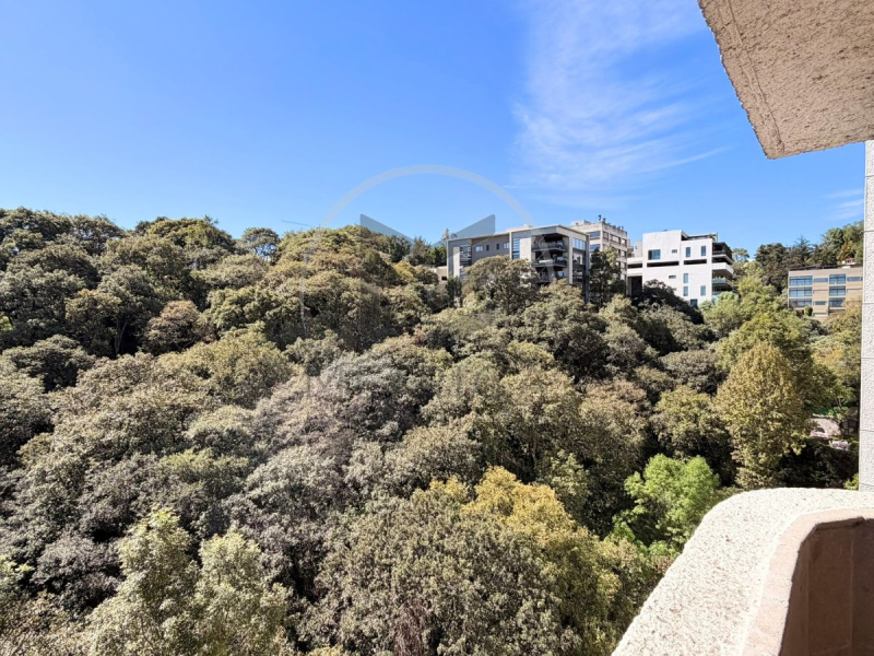 departamento en venta – bosque de toronjos, vista hermosa