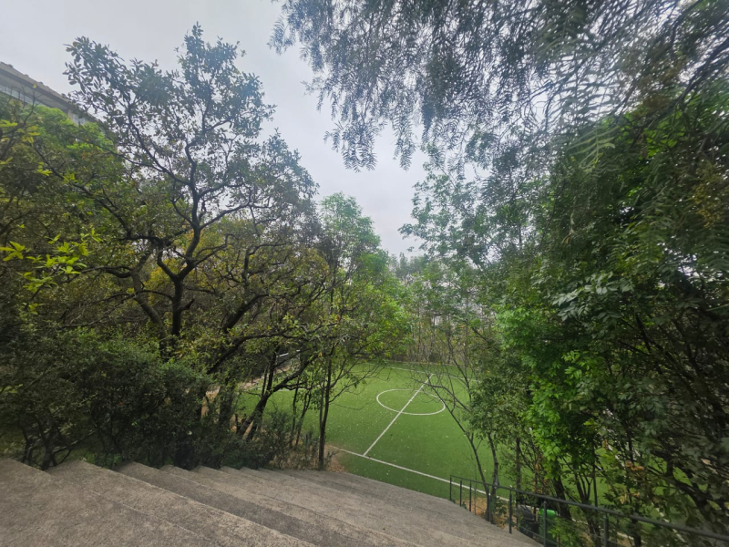 departamento en venta en bosque real