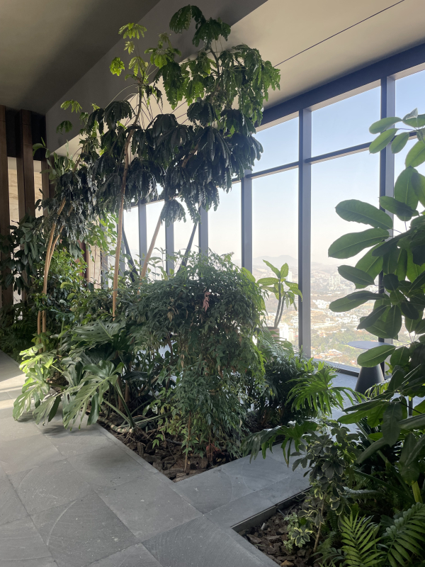 Departamento En Venta En Manigua, Interlomas Totalmente Amueblado O Sin Amueblar 