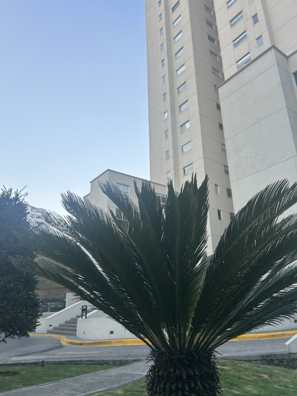 Departamento En Venta O Renta En Rancho La Mora