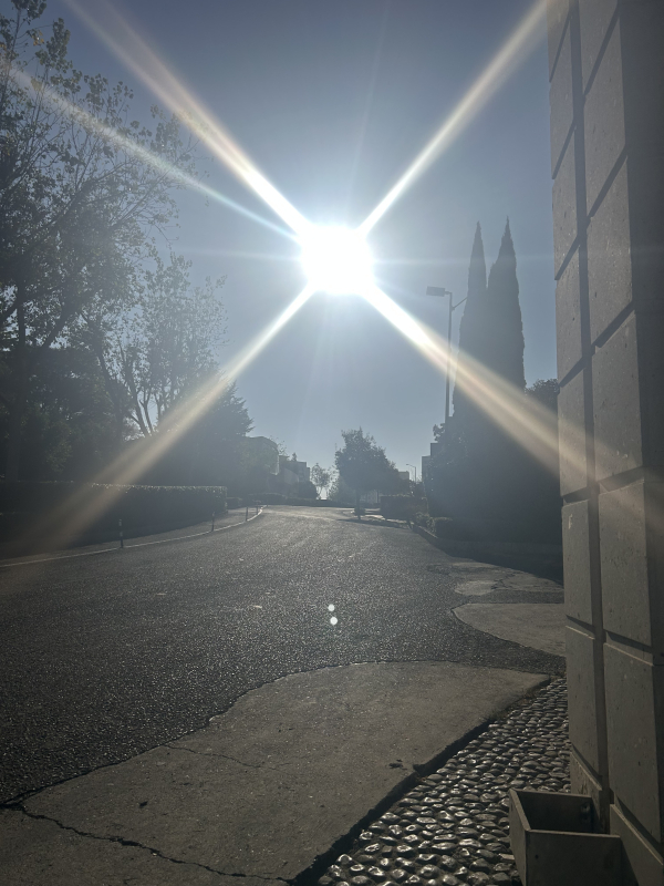 Departamento En Venta O Renta En Rancho La Mora