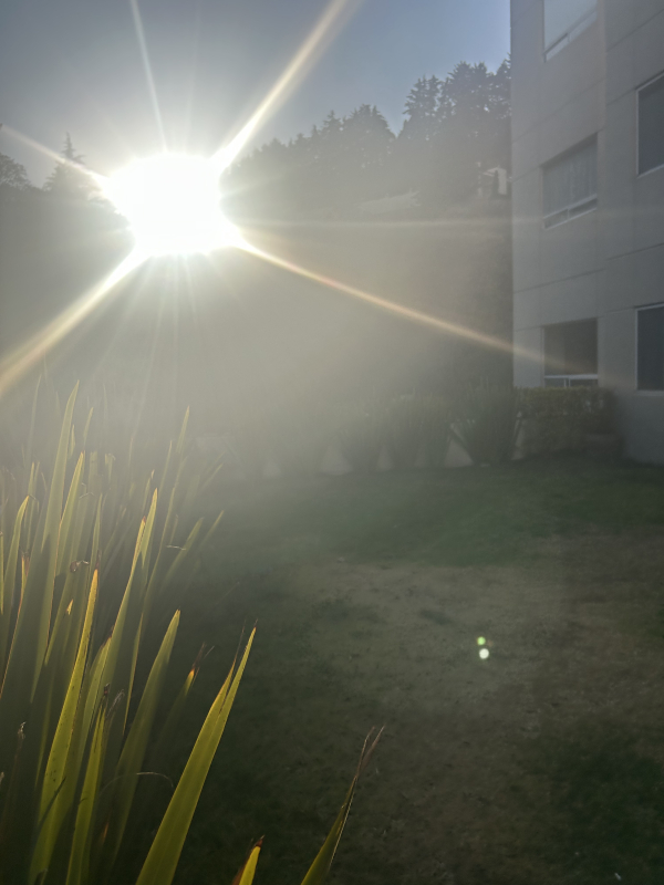 Departamento En Venta O Renta En Rancho La Mora