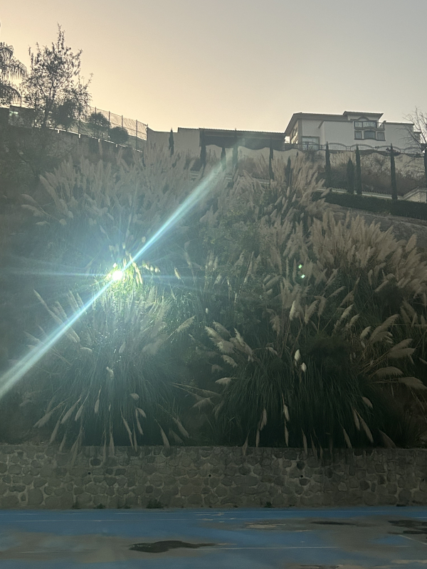 Departamento En Venta O Renta En Rancho La Mora