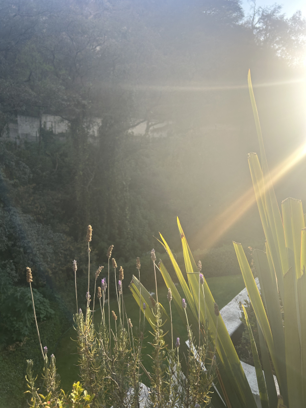 Departamento En Venta O Renta En Rancho La Mora