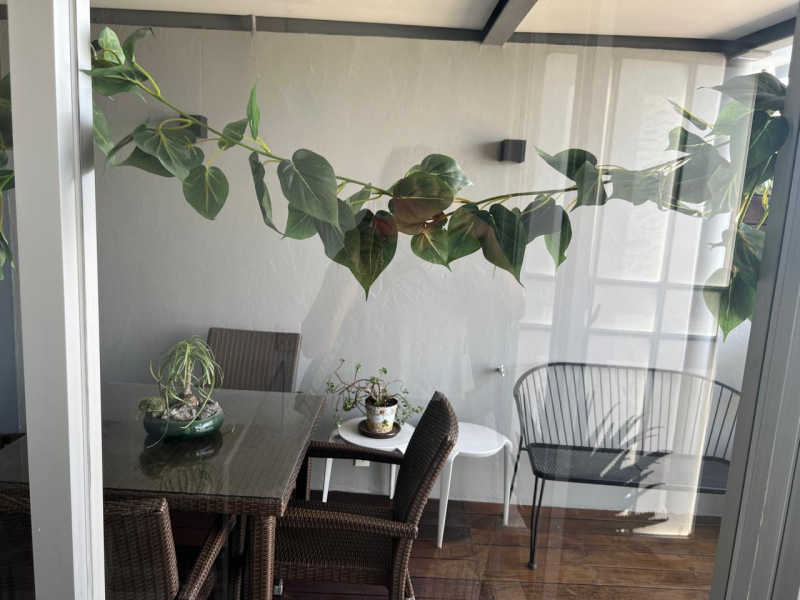 departamento en renta en vita polanco