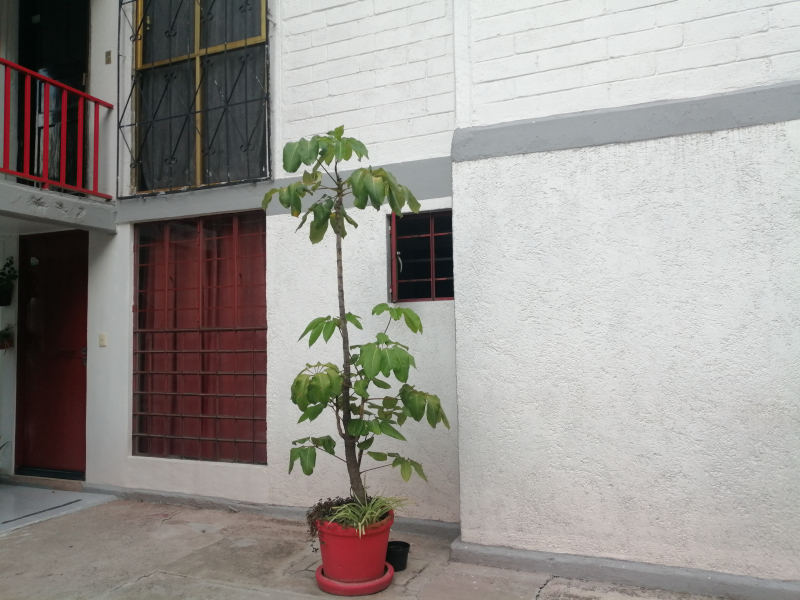 departamento en venta en el arbolillo