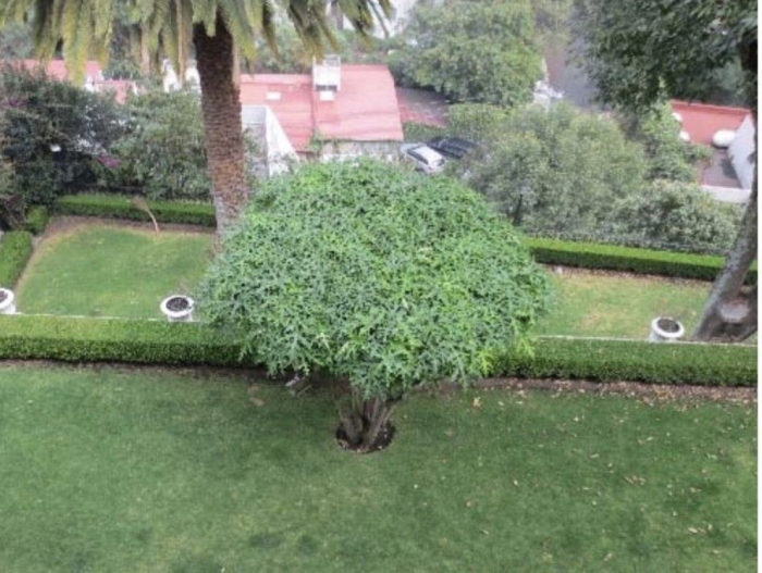 casa venta lomas de reforma