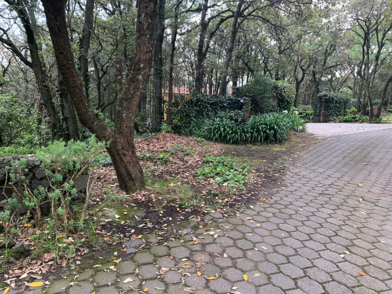 terreno en venta en tlalpuente