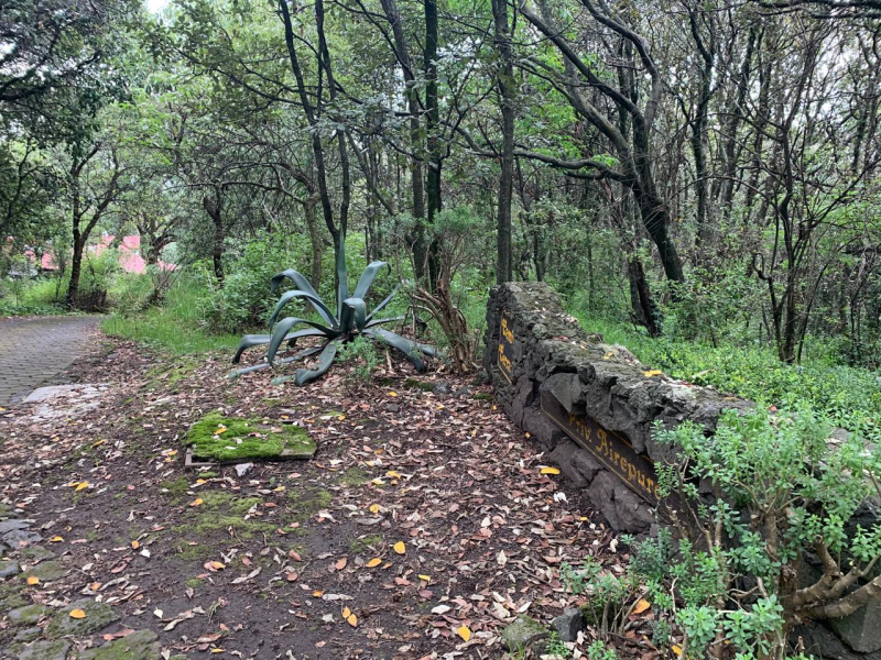 terreno en venta en tlalpuente