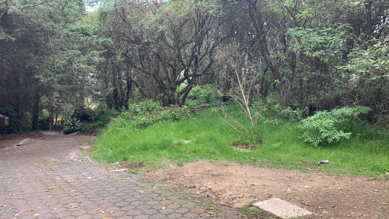 terreno en venta en tlalpuente