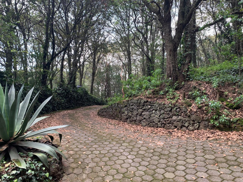 terreno en venta en tlalpuente