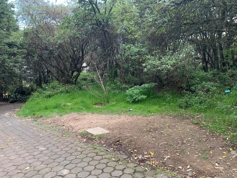 terreno en venta en tlalpuente