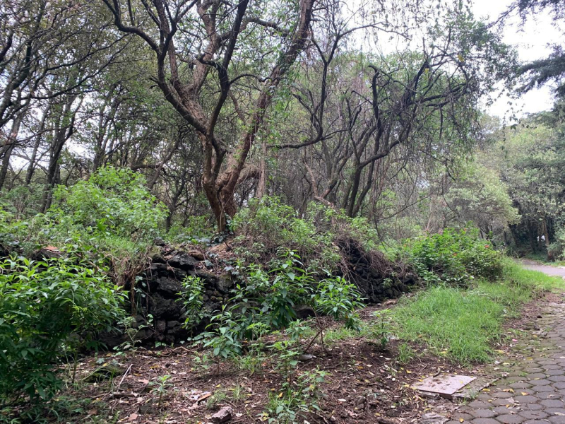 terreno en venta en tlalpuente