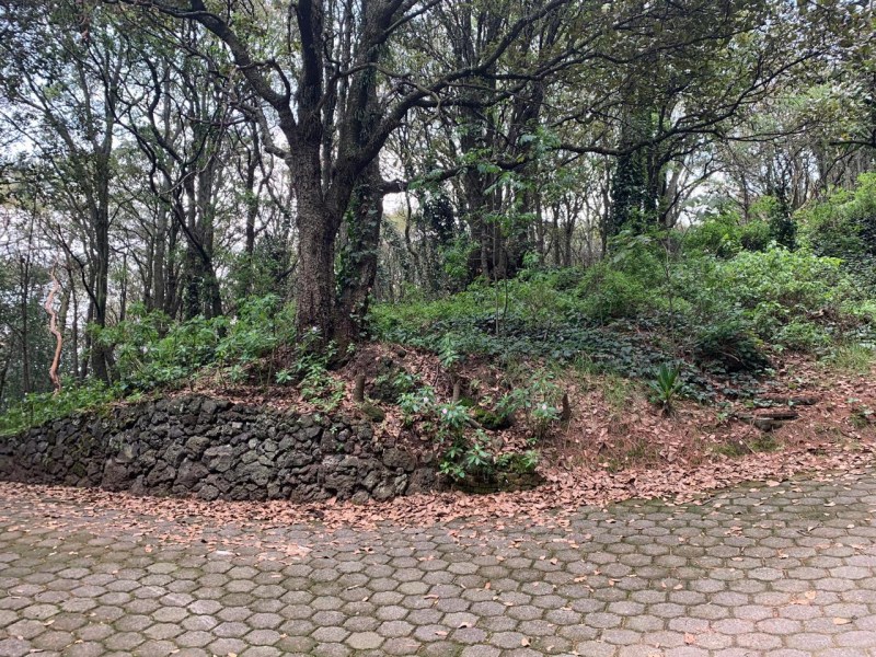 terreno en venta en tlalpuente