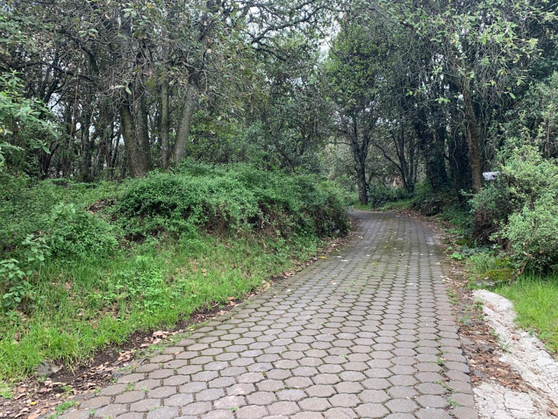 terreno en venta en tlalpuente